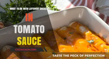 Creative Ways to Transform Leftover Chicken in Tomato Sauce