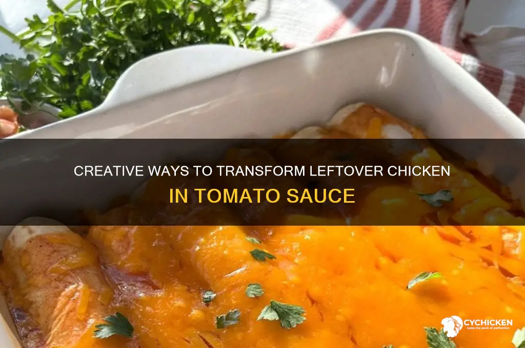 what to do with leftover chicken in tomato sauce