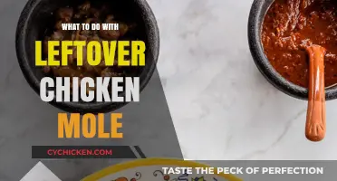 Creative Ways to Repurpose Leftover Chicken Mole for Delicious Meals