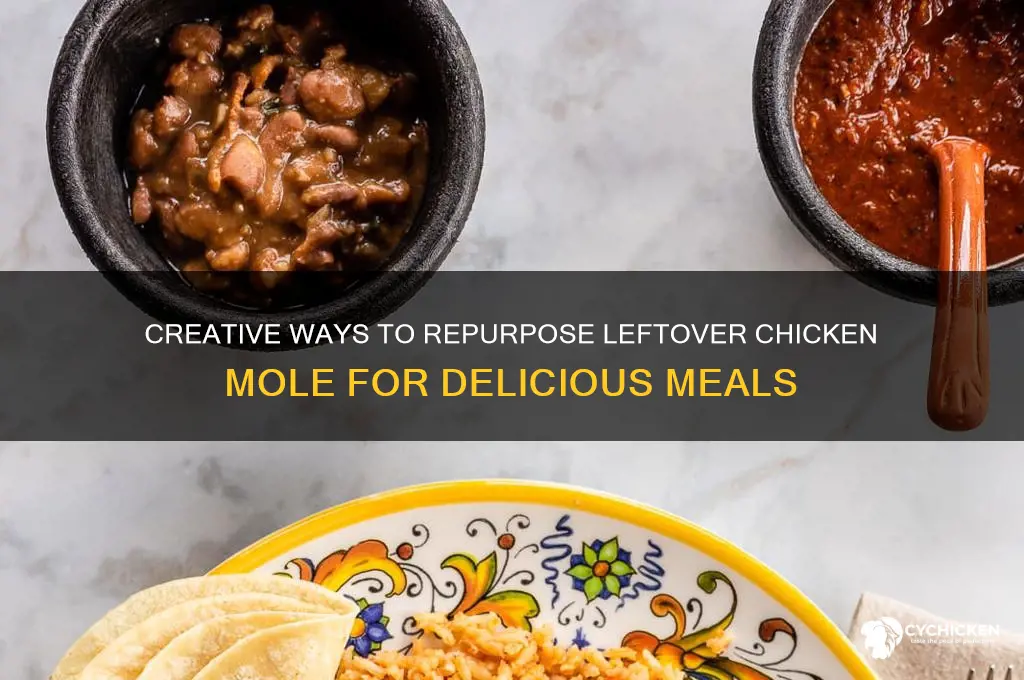 what to do with leftover chicken mole