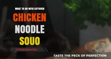 Creative Ways to Transform Leftover Chicken Noodle Soup into New Meals