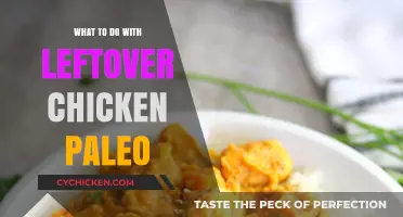 Creative Paleo-Friendly Recipes to Transform Leftover Chicken into Delicious Meals