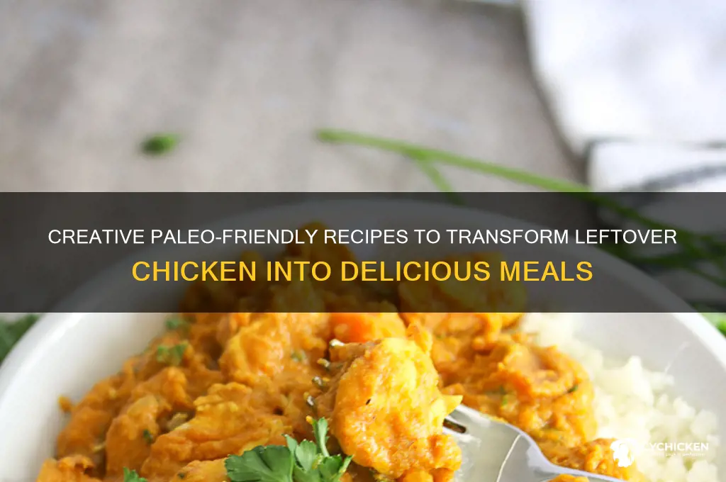 what to do with leftover chicken paleo