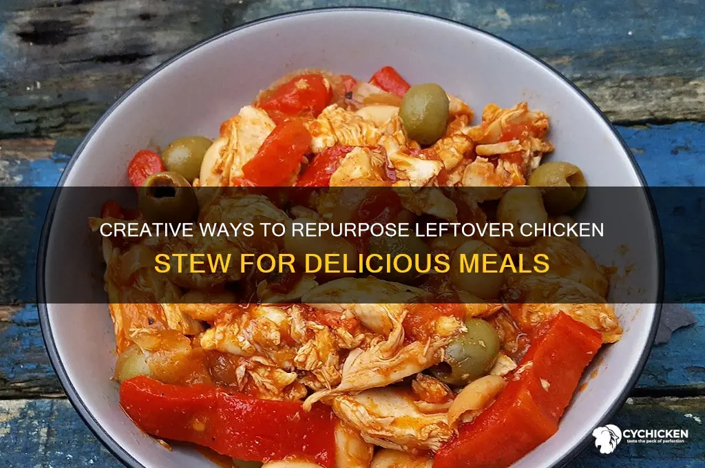 what to do with leftover chicken stew