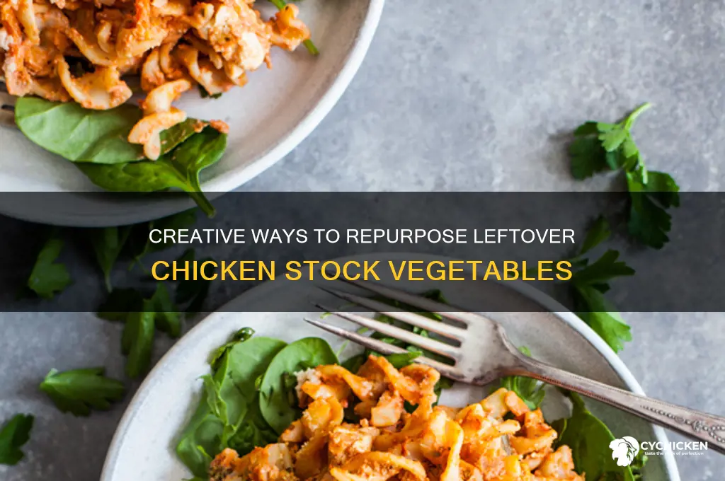 what to do with leftover chicken stock vegetables