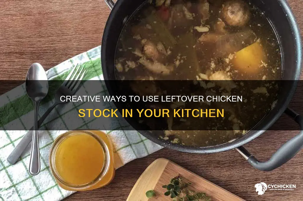 what to do with leftover chicken stock