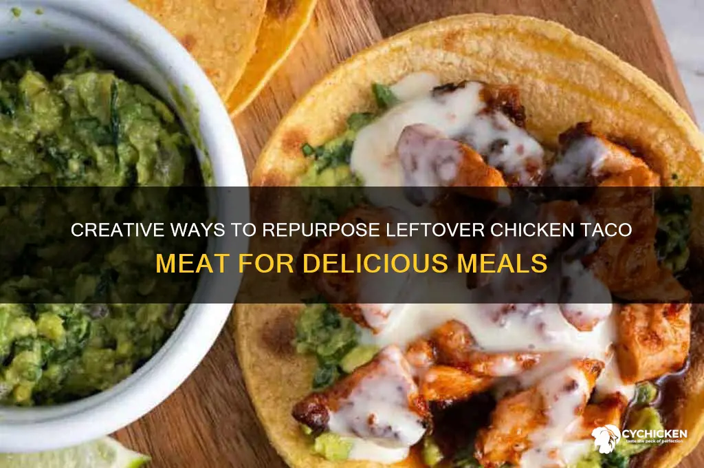 what to do with leftover chicken taco meat