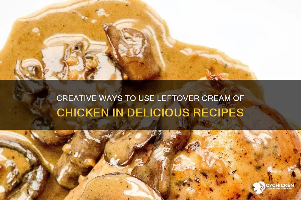 what to do with leftover cream of chicken