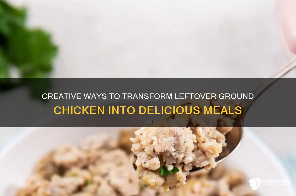 what to do with leftover ground chicken
