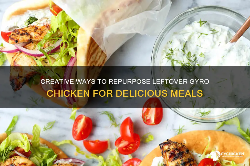 what to do with leftover gyro chicken