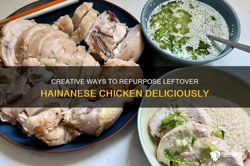 what to do with leftover hainanese chicken