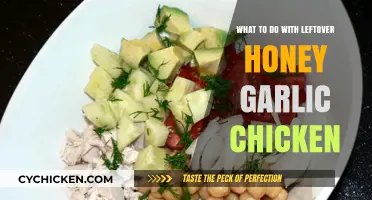 Creative Ways to Repurpose Leftover Honey Garlic Chicken Deliciously