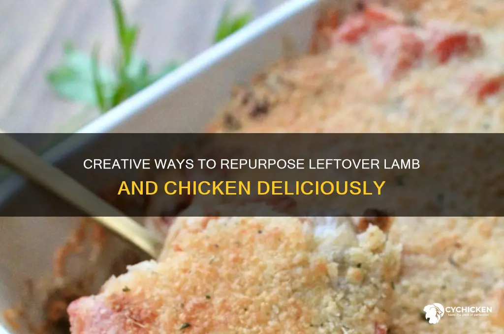 what to do with leftover lamb and chicken