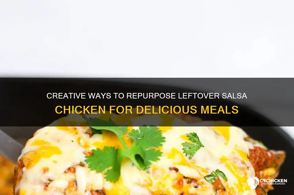 what to do with leftover salsa chicken