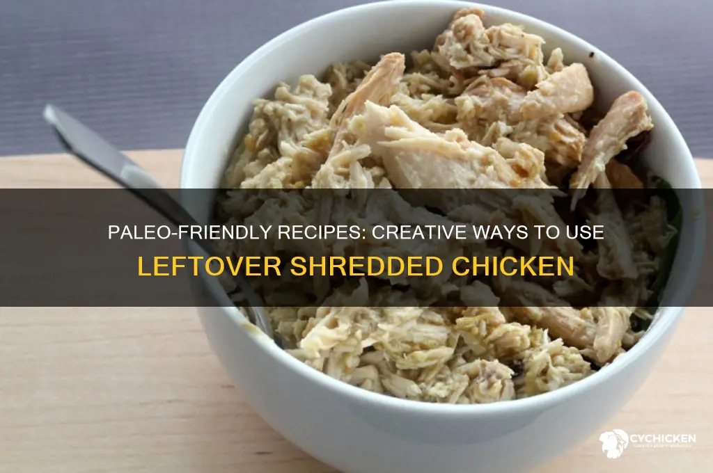 what to do with leftover shredded chicken paleo