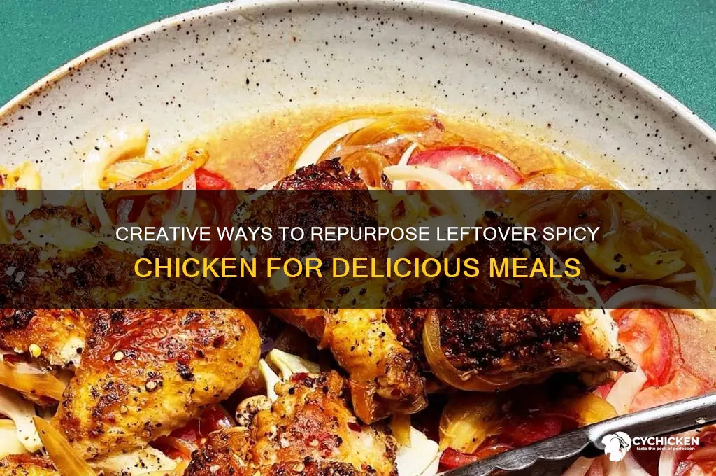 what to do with leftover spicy chicken