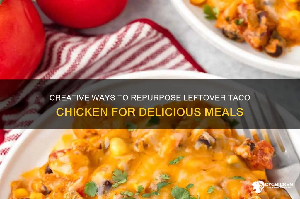 what to do with leftover taco chicken