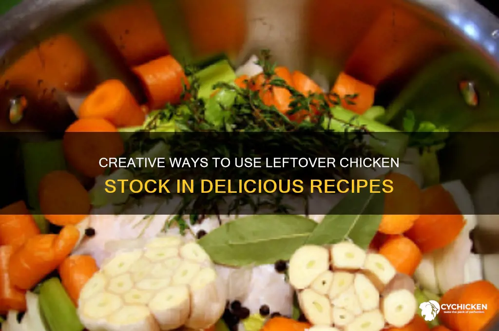 what to do with lots of chicken stock