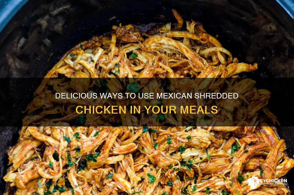 what to do with mexican shredded chicken