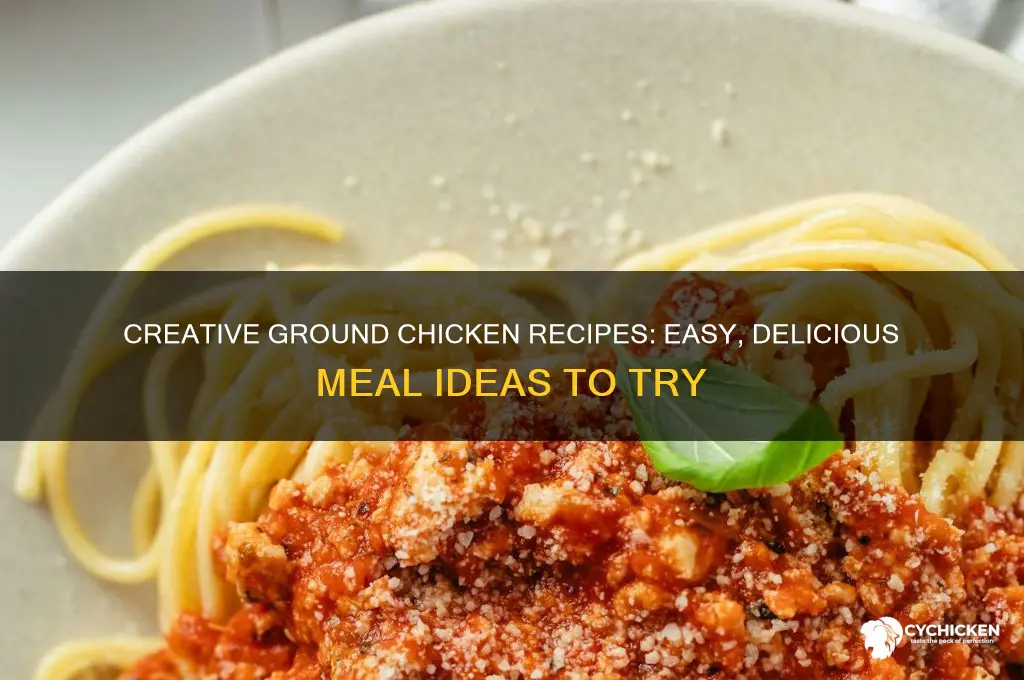 what to do with my ground chicken