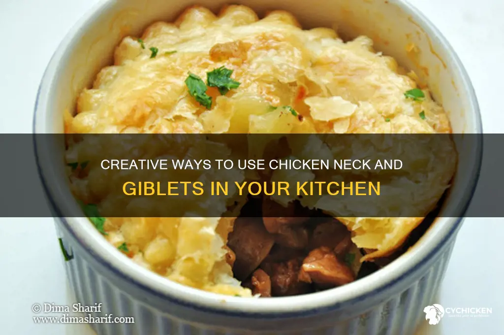 what to do with neck and giblets chicken