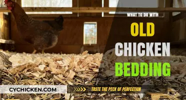 Creative Ways to Repurpose Old Chicken Bedding for a Sustainable Farm