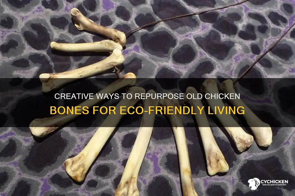 what to do with old chicken bones