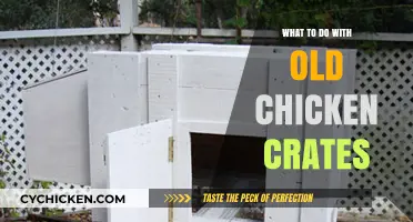 Creative Ways to Repurpose Old Chicken Crates for Home and Garden