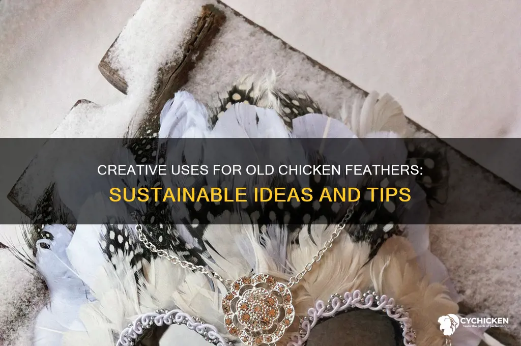what to do with old chicken feathers