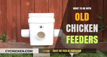 Creative Repurposing Ideas for Old Chicken Feeders: DIY Projects