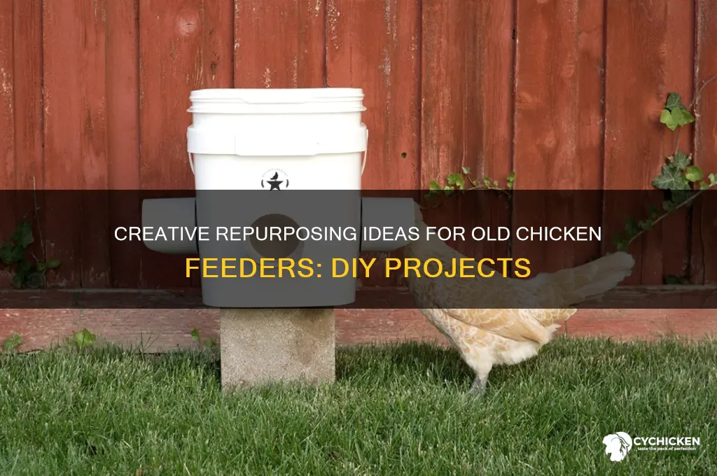 what to do with old chicken feeders