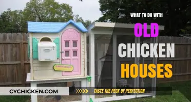 Revitalizing Old Chicken Houses: Creative Repurposing Ideas for Unused Structures
