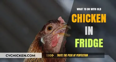 Revive or Toss? Smart Ways to Handle Old Fridge Chicken