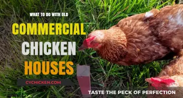Revitalizing Old Chicken Houses: Creative Repurposing Ideas for Commercial Spaces