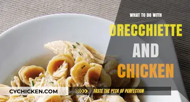 Delicious Orecchiette and Chicken Recipes to Try Tonight