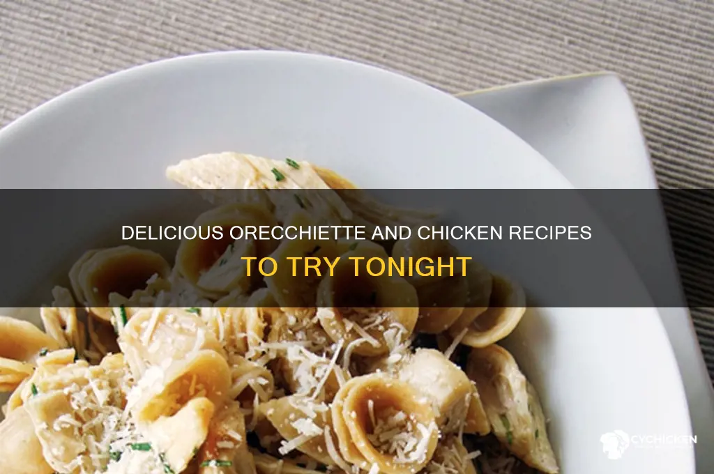 what to do with orecchiette and chicken