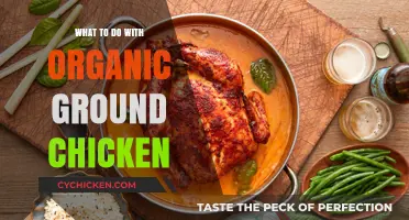Creative and Delicious Ways to Use Organic Ground Chicken