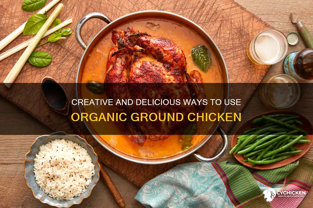 what to do with organic ground chicken