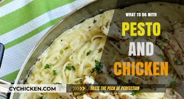 Delicious Pesto Chicken Recipes: Creative Ways to Elevate Your Meals