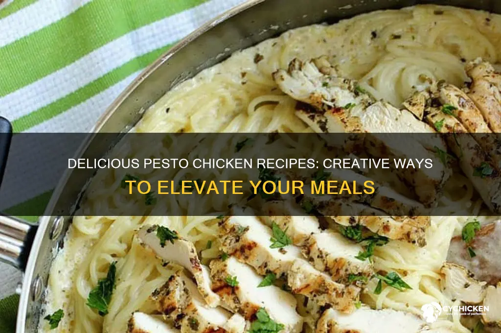 what to do with pesto and chicken