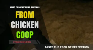 Sustainable Uses for Pine Shavings from Your Chicken Coop