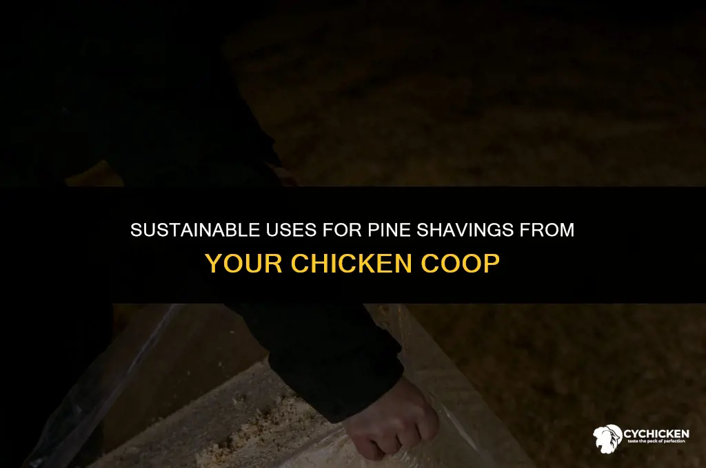what to do with pine shavings from chicken coop