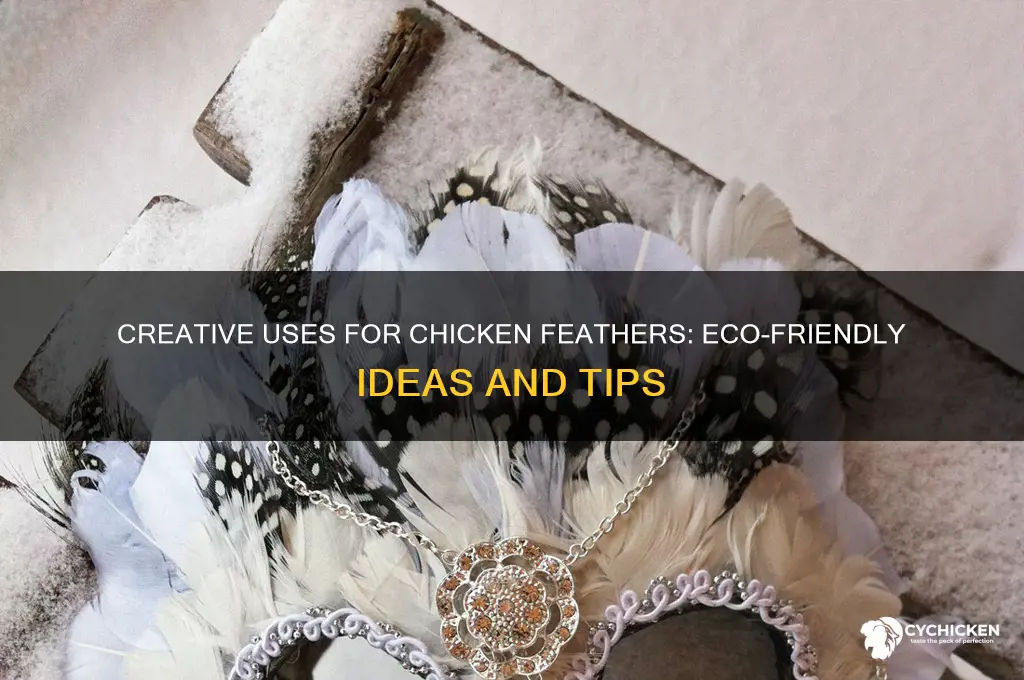 what to do with plucked chicken feathers