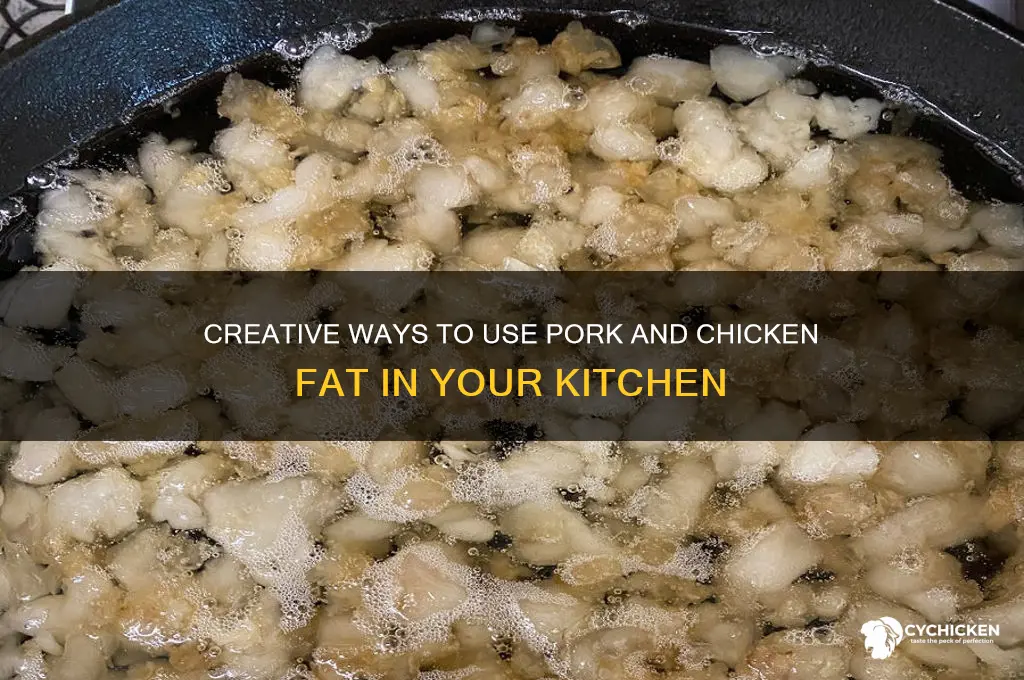 what to do with pork and chicken fat