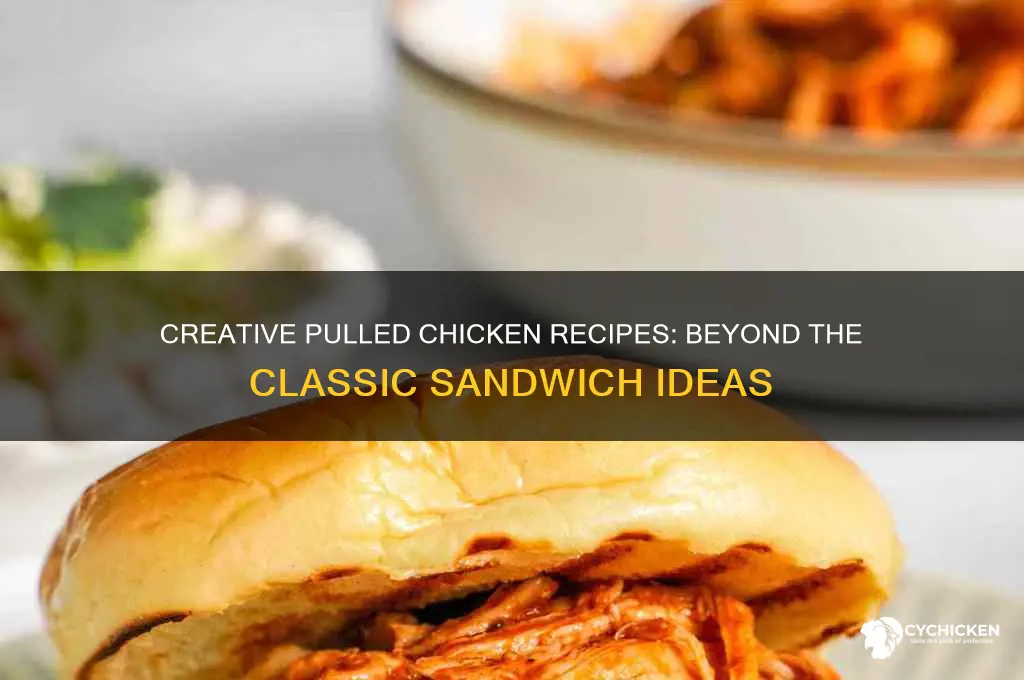 what to do with pulled chicken besides sandwiches