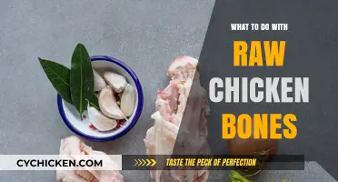 Creative Uses for Raw Chicken Bones: From Broth to Garden