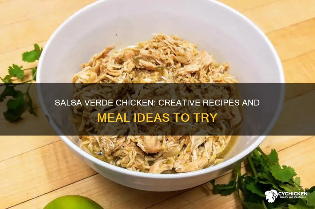 what to do with salsa verde chicken