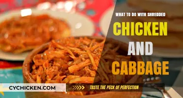 Creative Shredded Chicken and Cabbage Recipes to Try Tonight
