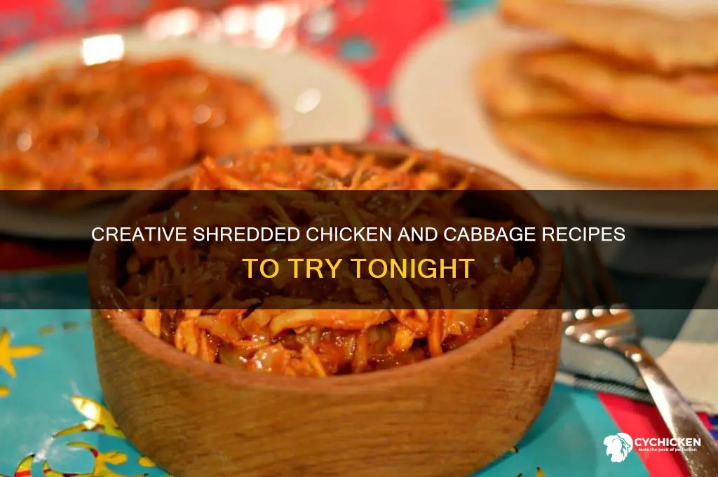 what to do with shredded chicken and cabbage