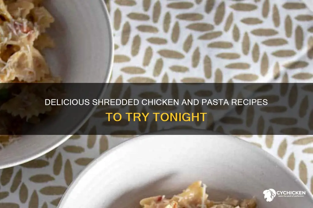 what to do with shredded chicken and pasta
